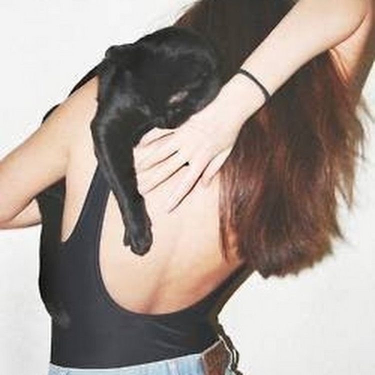 Тень с ушками