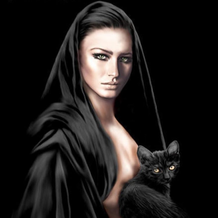 Одиночество кот