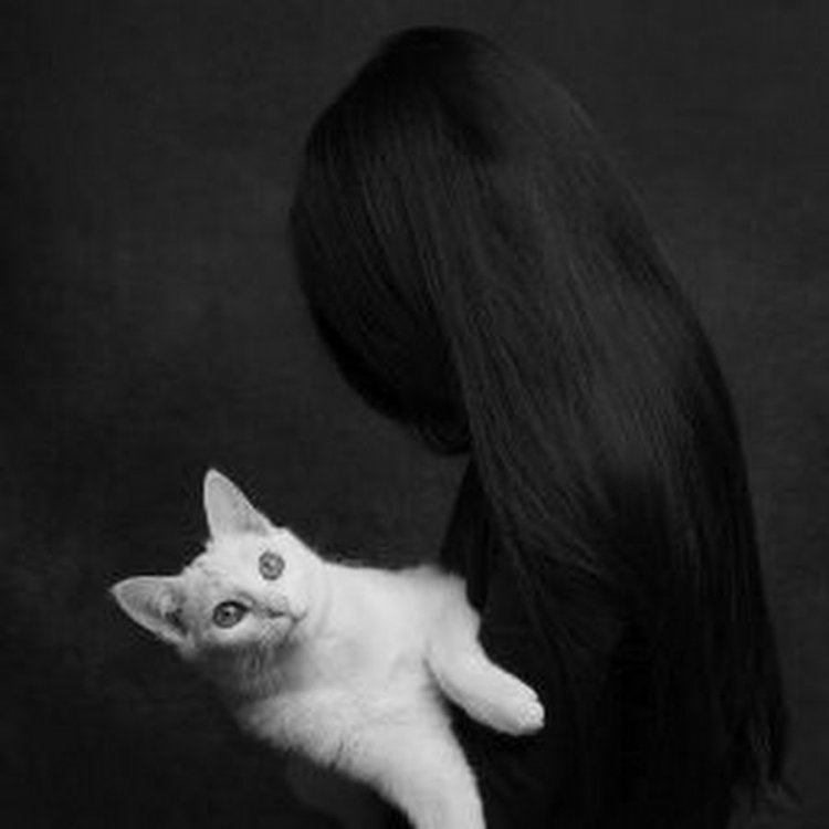 Ведьма с котом