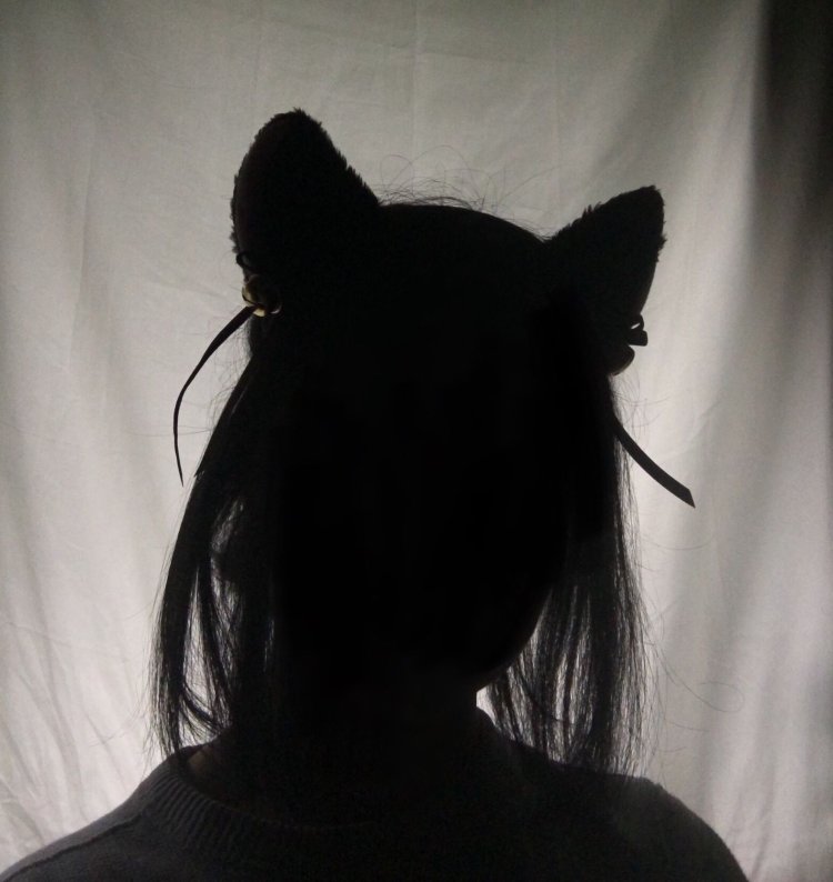 Девушка с котом