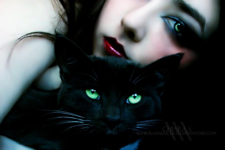 Девушка кошка