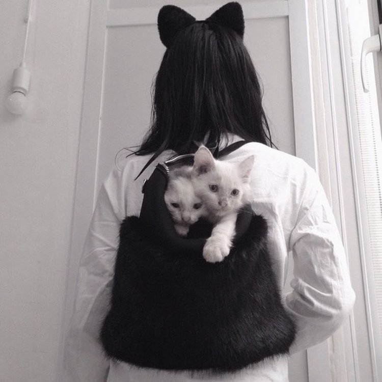 Девушка с котомом без лица