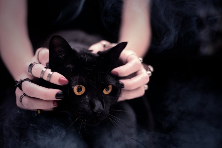 Женщина с черным котом