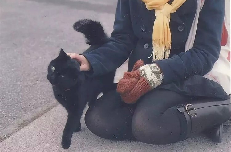 Брюнетка в маске кошки