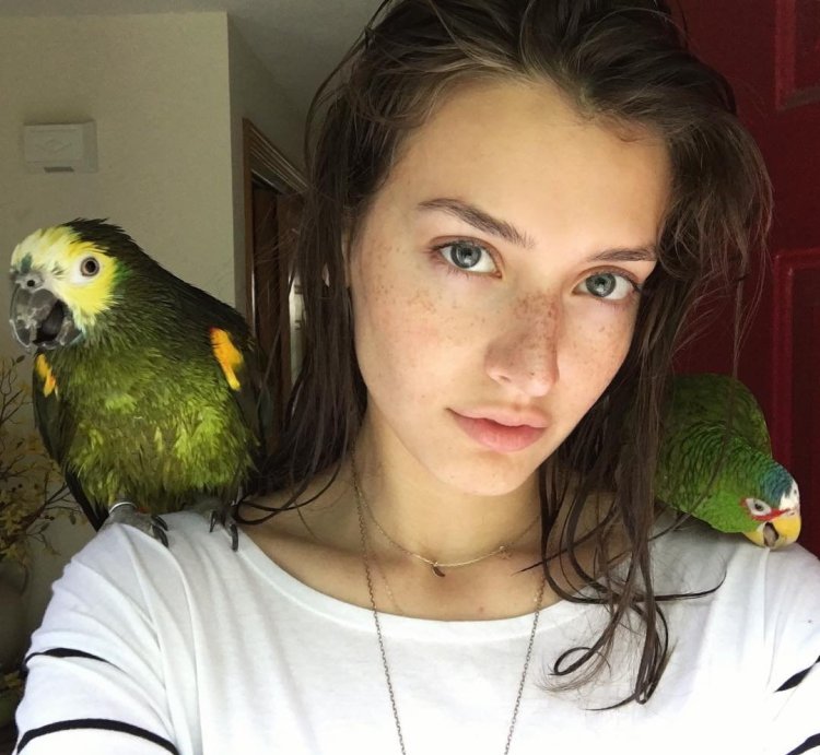 Диана Майер Самара