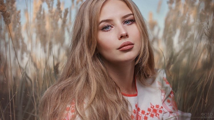 Чистокровная Славянка внешность