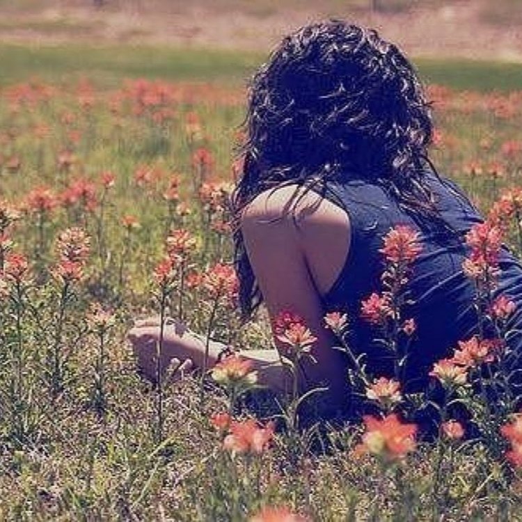 Кудри Эстетика