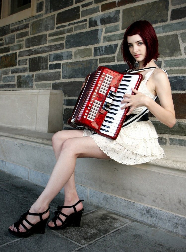 Баян на ярком фоне