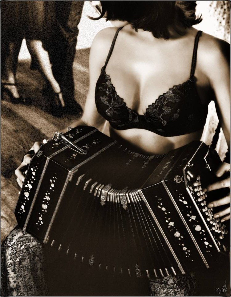 Девушка с баяном