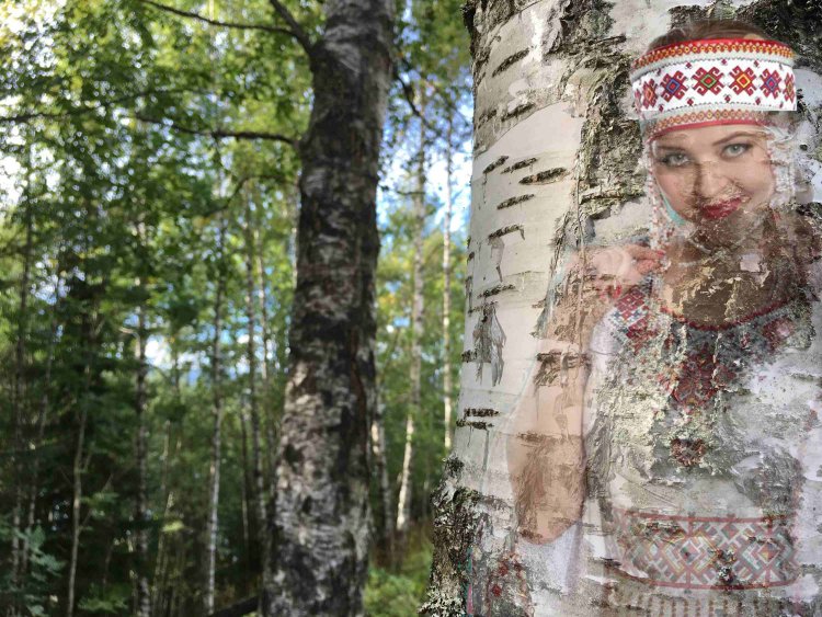 Мария Гущина модель