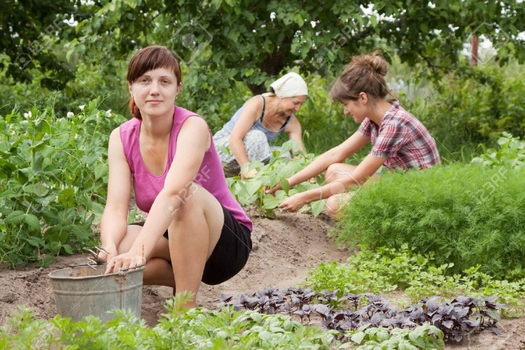 Мама в огороде