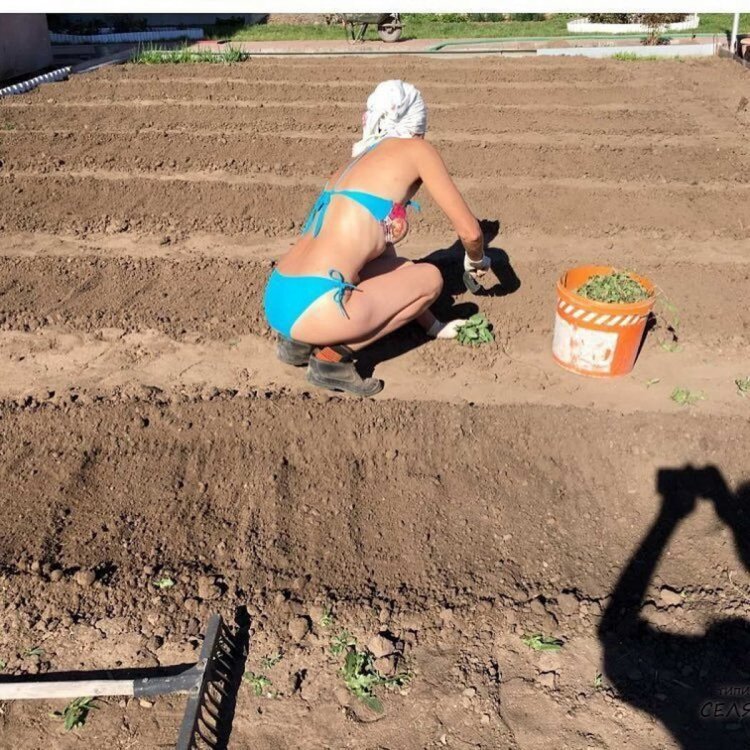 Женщина в огороде