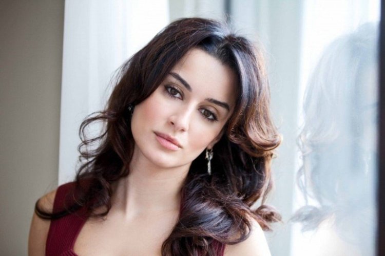 Тина Канделаки армянка