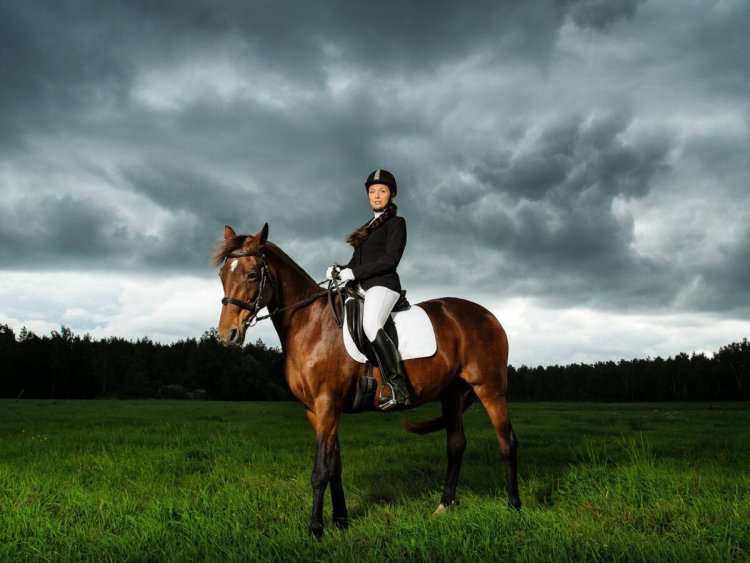 Всадник на коне