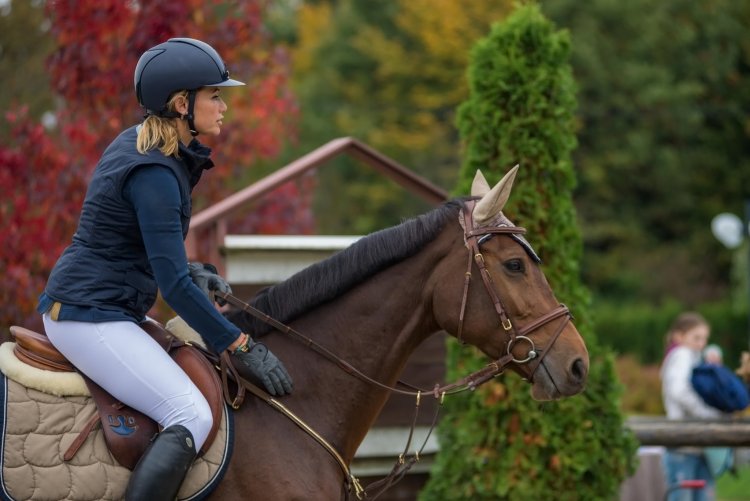 Всадник с лошадью