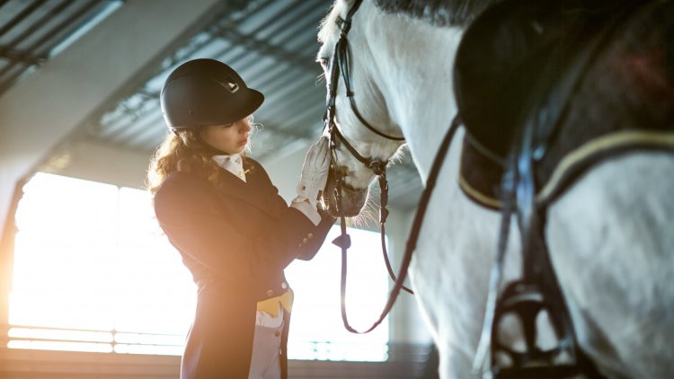 Эстетика верховой езды