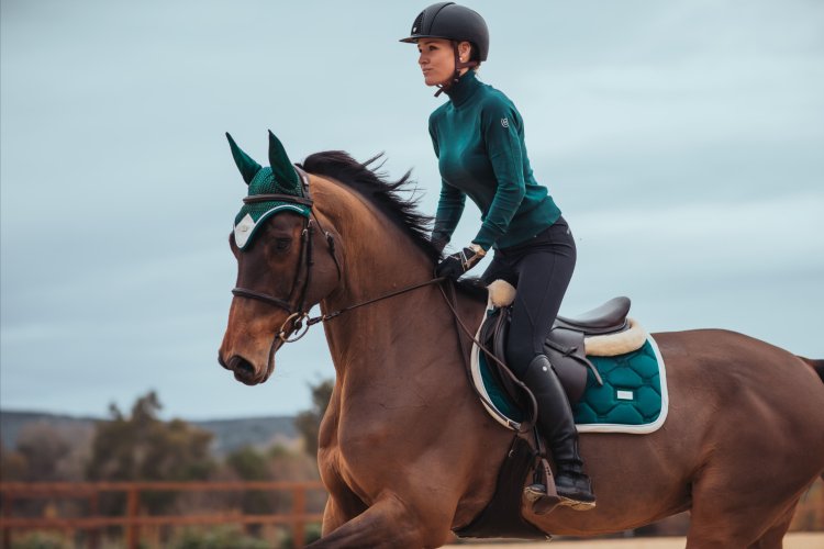 Equestrian Stockholm