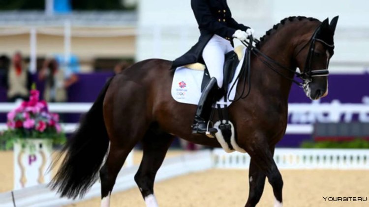 Тотилас и Валегро