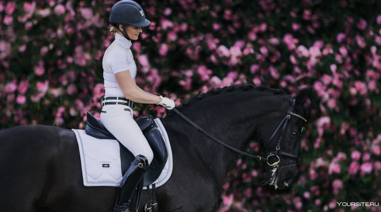 Выездка конный спорт