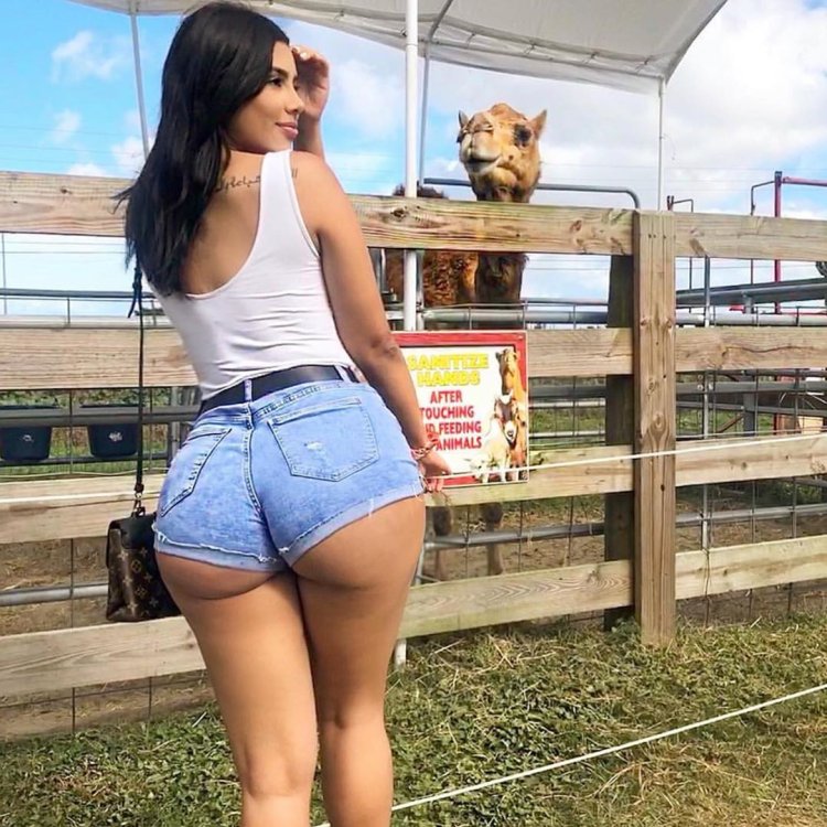 Черные женщины с пышными попками