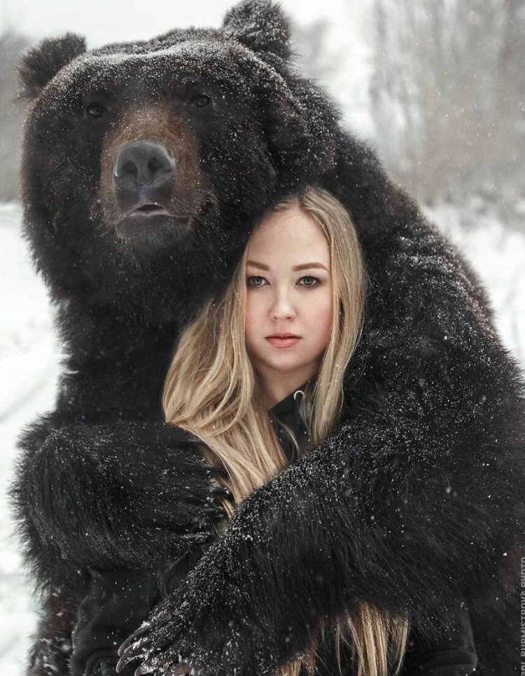 Вероника дичка и медведь