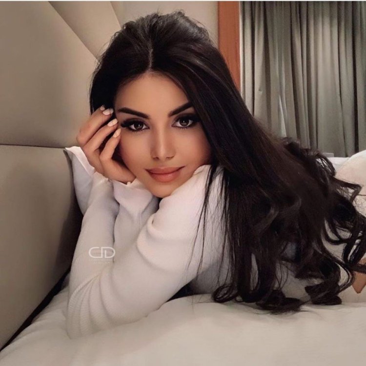 Модель Бану Шуджаи