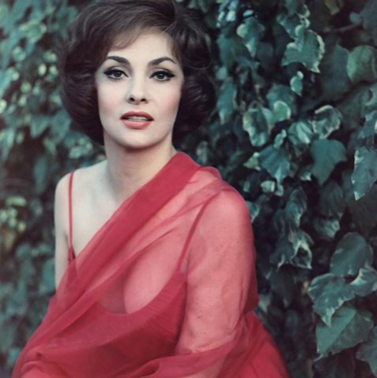 Актриса Джина Лоллобриджида