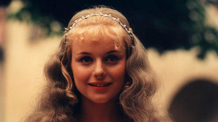 Спящая красавица (1978)