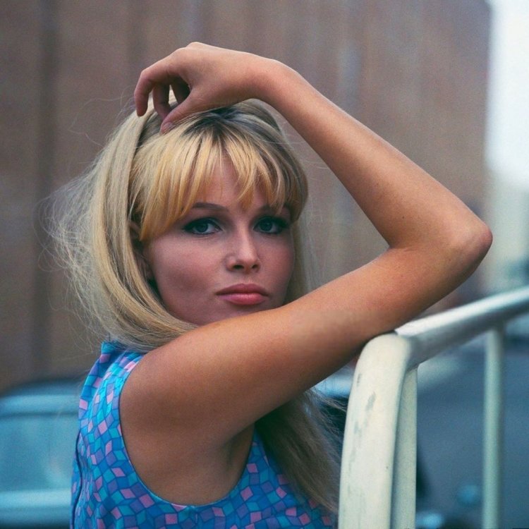 Вивьен ли изобретательница