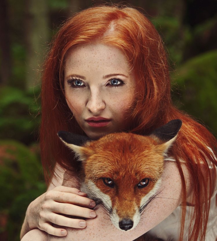 Девушка и лиса