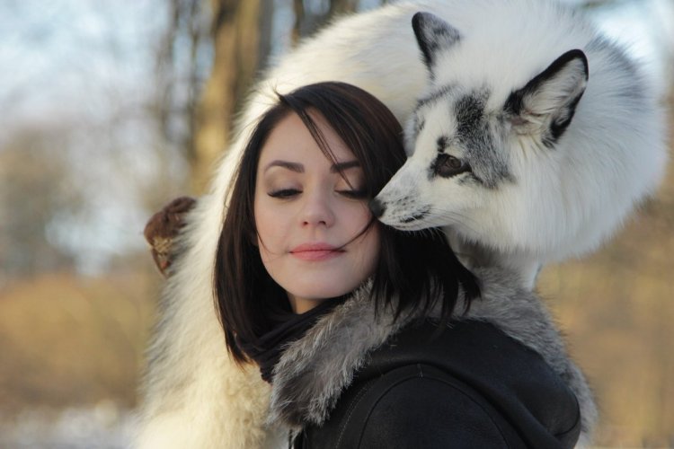 Лиса Строцкая