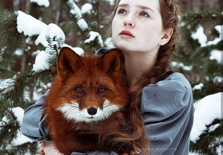 Лисья внешность