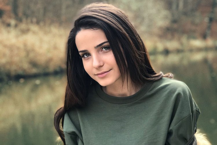 АРПИ Петросян модель