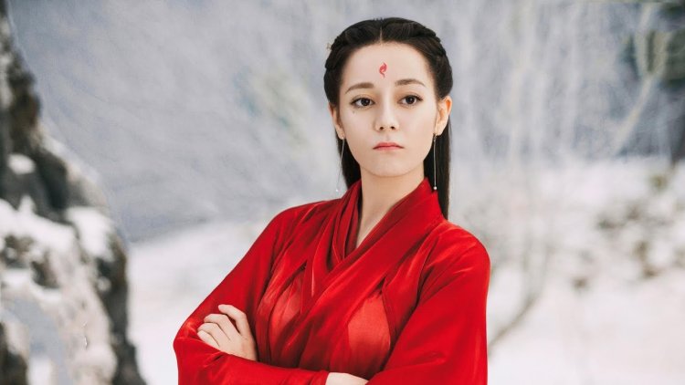 Чжан Цзыи портрет