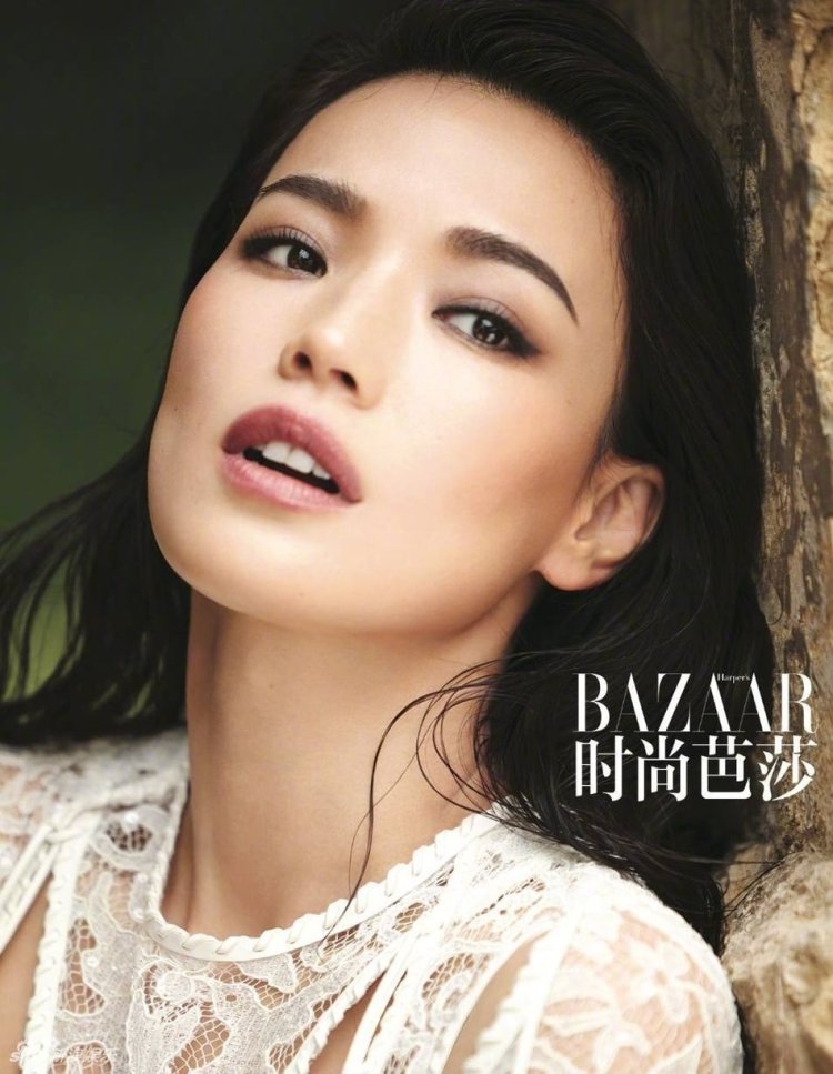 Shu Qi (thu ky)