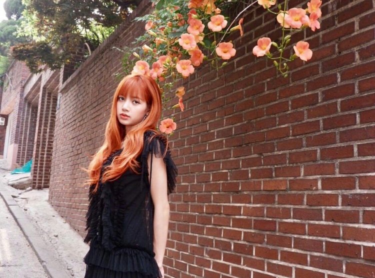 Лиса Блэк Пинк рыжая