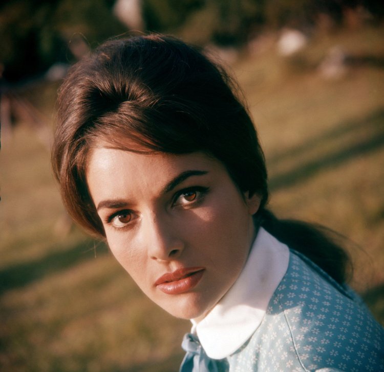 Хильдегард Кнеф