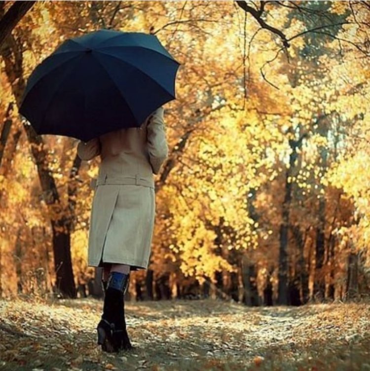 Осень девушка со спины