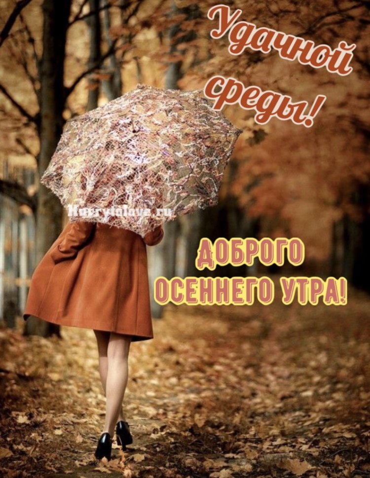 Девушка с зонтом осень