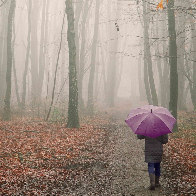 Блондинка под зонтом осенью со спины