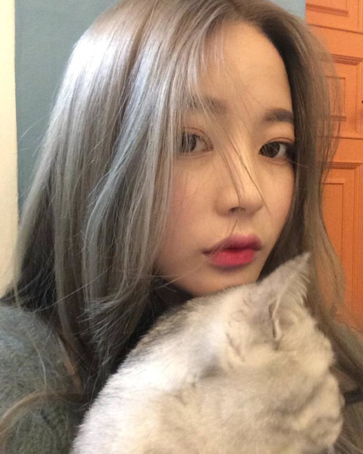 Дженни Ким волосы