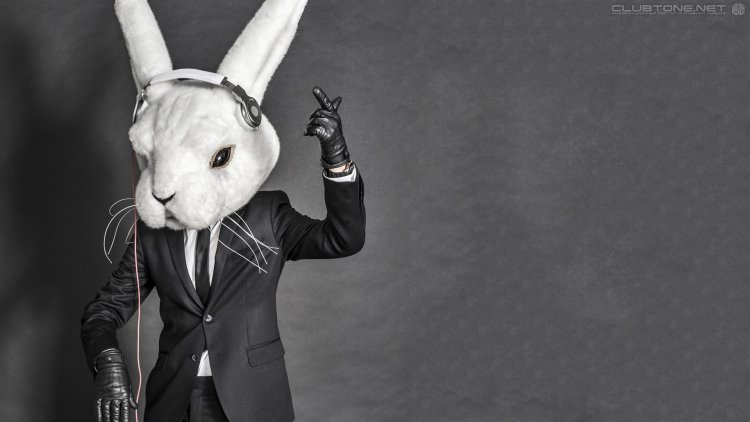 Кролик в костюме