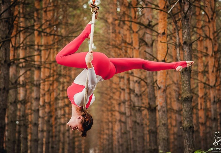 Воздушные гимнасты