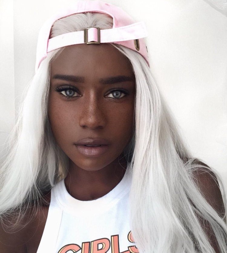 Melvnin Bee модель