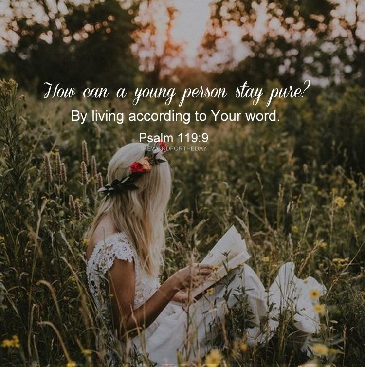 Блондинка на Поляне