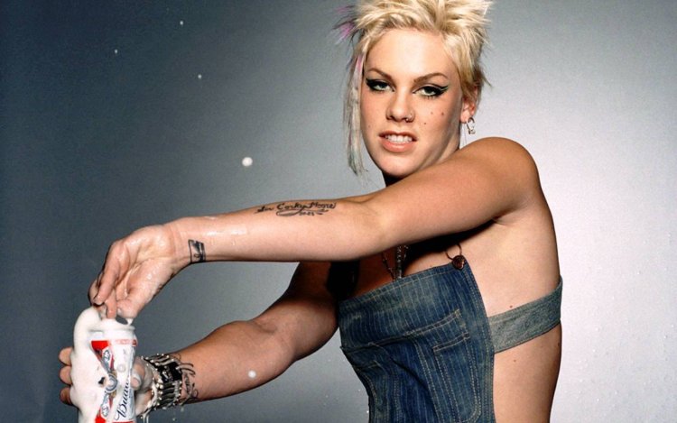 Pink - Alecia Beth Moore