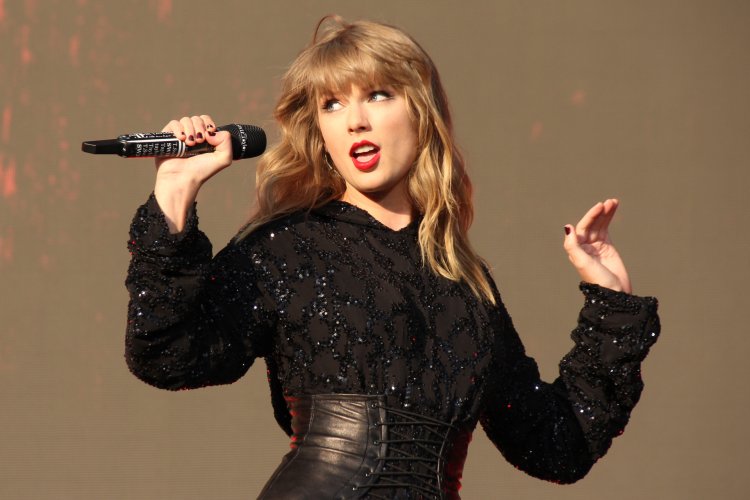 Профессия певица