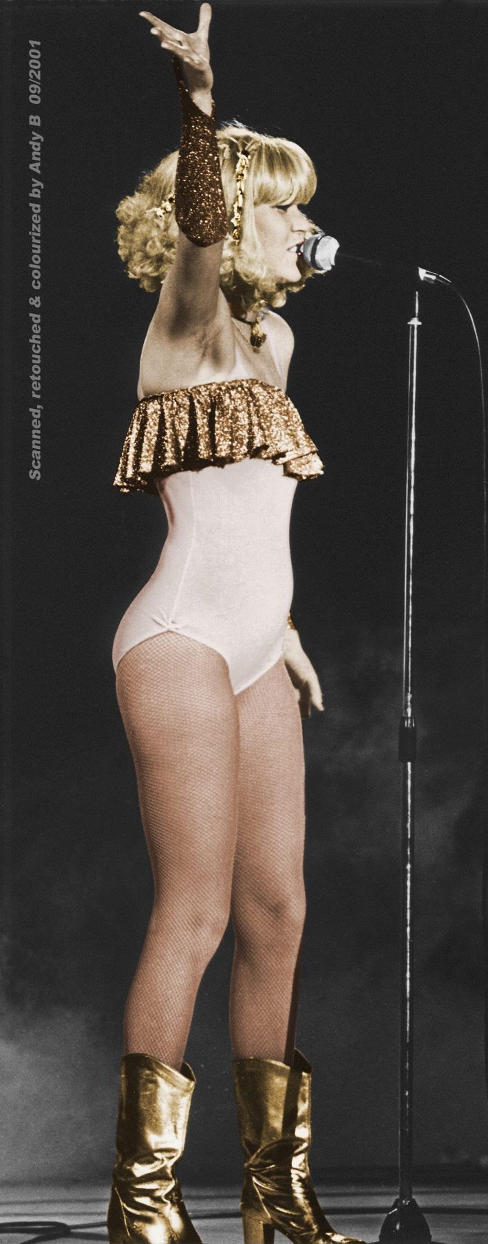 Агнета Фельтског хот