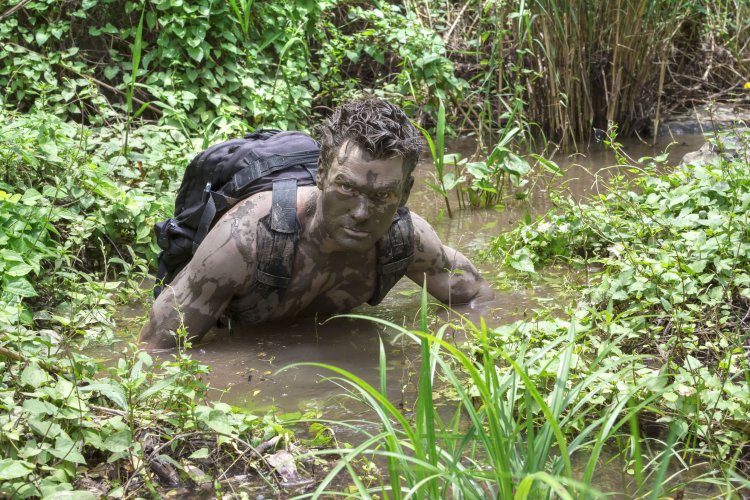 Грязь в джунглях