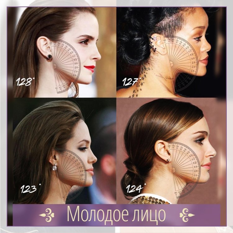 Идеальный угол челюсти у женщин